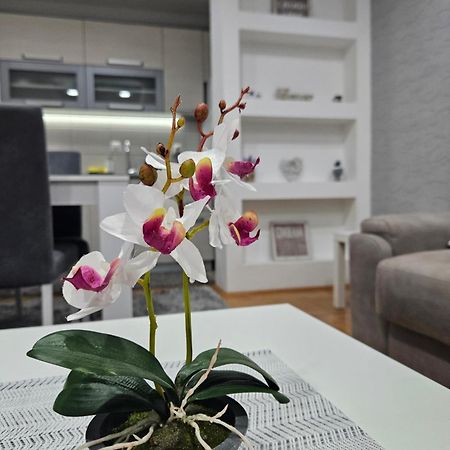 Apartman Vukota 皮罗特 外观 照片